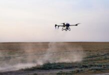 Дроны станут ключевым инструментом мониторинга саранчовых