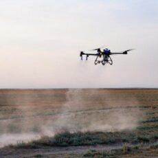 Дроны станут ключевым инструментом мониторинга саранчовых
