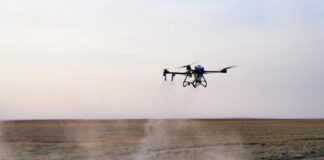 Дроны станут ключевым инструментом мониторинга саранчовых