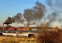 Более 100 теплиц готовы установить дымоочистные фильтры в Туркестанской области