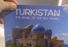 Туркестанскую область начнут рекламировать на бортах самолетов