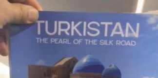 Туркестанскую область начнут рекламировать на бортах самолетов