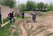 Шымкентцы вышли на общегородской субботник