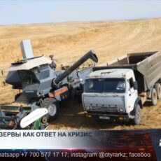 Россия призывает к объединению продовольственных резервов стран