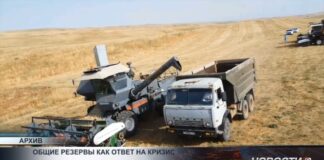 Россия призывает к объединению продовольственных резервов стран