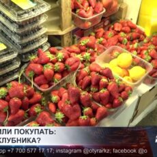 Ждать или покупать: почем клубника на базарах Шымкента?