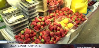 Ждать или покупать: почем клубника на базарах Шымкента?