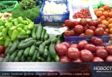 Почем овощи на шымкентских рынках?