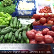 Почем овощи на шымкентских рынках?