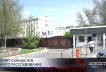 В Шымкенте расследуют заявление женщины о попытке изнасилования