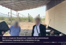 В Шымкенте завершено расследование хищения 430 млн тенге при создании яблоневых садов