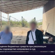 В Шымкенте завершено расследование хищения 430 млн тенге при создании яблоневых садов