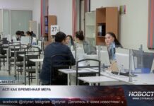 В Шымкенте сокращается количество получателей АСП