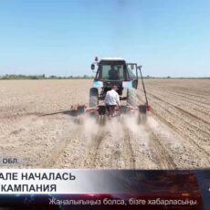 В Мактаарале началась посевная кампания