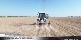 В Мактаарале началась посевная кампания