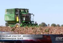 В хлопковую отрасль Туркестанской области вложено более 100 млрд тенге
