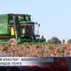 В хлопковую отрасль Туркестанской области вложено более 100 млрд тенге