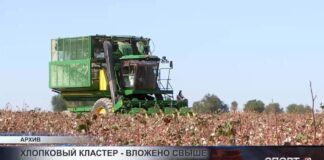 В хлопковую отрасль Туркестанской области вложено более 100 млрд тенге