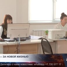 Более 200 жителей Шымкента переехали в северные регионы Казахстана