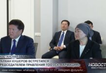 Нуралхан Кушеров встретился с председателем правления ТОО «СК-Фармация»