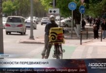 В Шымкенте растёт число велосипедистов и конфликтов