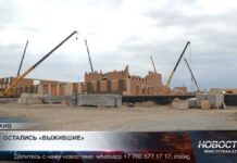 В Казахстане сокращается число действующих компаний