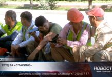 Три предприятия в Шымкенте задерживали выплаты сотрудникам