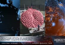 Гигантские фрукты покоряющие соцсети создает скульптор из Шымкента