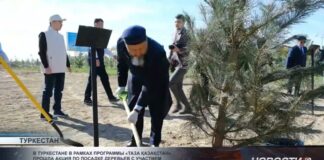 В Туркестане прошла акция по посадке деревьев с участием верховного муфтия и акима области