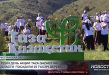 За один день акции «Таза Қазақстан» в области посадили 20 тысяч деревьев