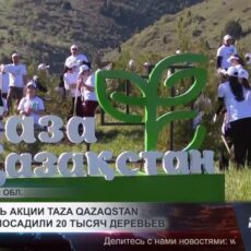 За один день акции «Таза Қазақстан» в области посадили 20 тысяч деревьев