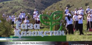 За один день акции «Таза Қазақстан» в области посадили 20 тысяч деревьев
