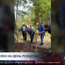 90-летний ветеран из Шымкента отметил юбилей посадкой клена