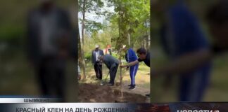 90-летний ветеран из Шымкента отметил юбилей посадкой клена
