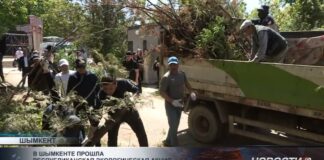 Общенациональный субботник состоялся в Шымкенте