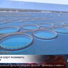 В Туркестанской области планируют развивать акватуризм