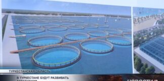 В Туркестанской области планируют развивать акватуризм