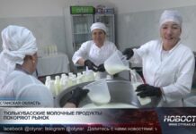 Тюлькубас укрепляет молочную отрасль региона и радует покупателей