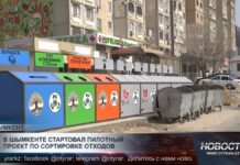 Новый экологический проект запущен в Шымкенте