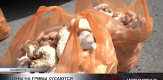 Цены на грибы кусаются