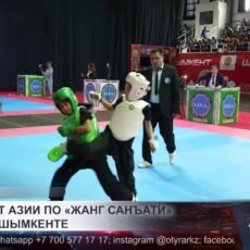 Чемпионат Азии по «Жанг санъати» прошёл в Шымкенте