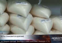 Еда дорожает по всему миру: главные причины роста цен