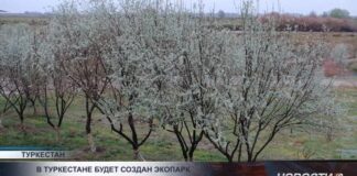 В Туркестане будет создан экопарк