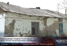 Жители села в Жетысайском районе боятся потерять дома из-за постоянно поднимающейся воды