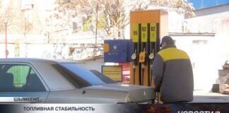 На сколько выросли цены на бензин и дизель?