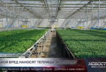 Какой вред наносят теплицы экологии?
