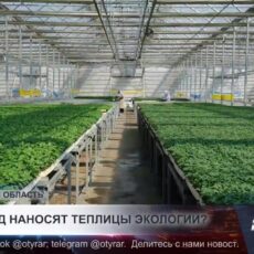 Какой вред наносят теплицы экологии?