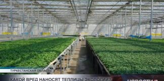 Какой вред наносят теплицы экологии?