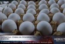 В Сарыагашском районе развивается промышленное производство