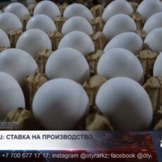 В Сарыагашском районе развивается промышленное производство